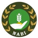 NABI Logo New